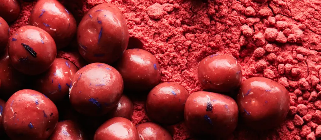 [ASCH04-29] Dragées Bleuets Chocolat à la fraise - 100 g